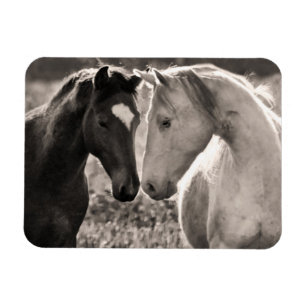 Horse Love Magneet