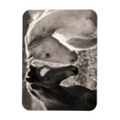 Horse Love Magneet (Verticaal)