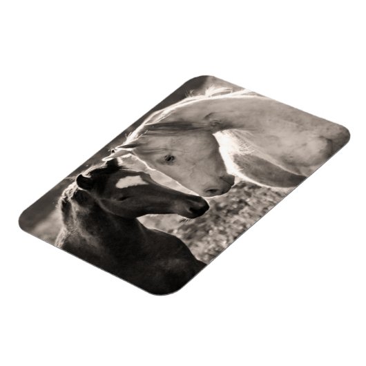 Horse Love Magneet (Linkerzijde)