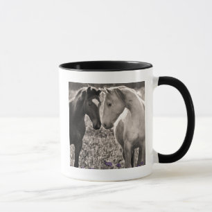 Horse Love Mok