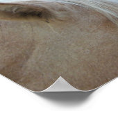 Horse Love Poster (Hoek)