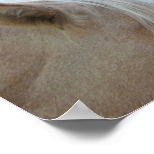 Horse Love Poster (Hoek)