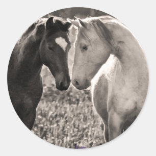 Horse Love Ronde Sticker