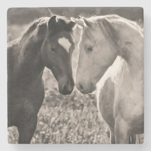 Horse Love Stenen Onderzetter