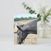 Horse Lover Briefkaart (Staand voorkant)