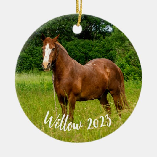 Horse Lover Memorial Ornament Gift (Voorkant)