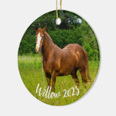 Horse Lover Memorial Ornament Gift (Links)