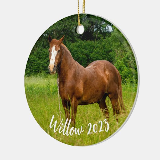 Horse Lover Memorial Ornament Gift (Links)