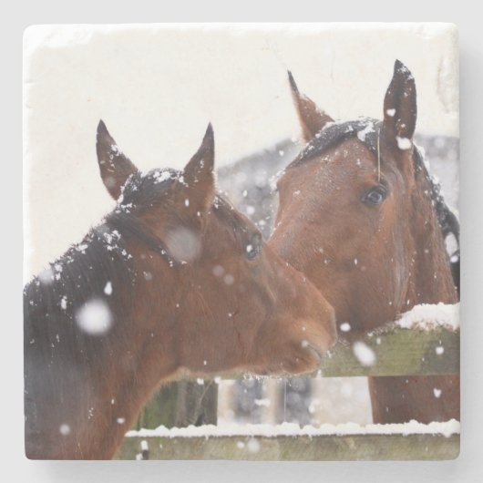 Horse Lover Stenen Onderzetter (Voorkant)