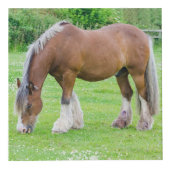 Horse Lover's aangepaste foto kubus (Rechts)