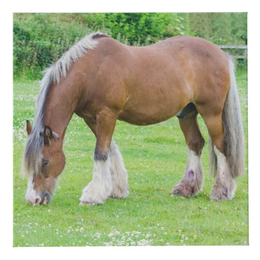 Horse Lover's aangepaste foto kubus (Rechts)