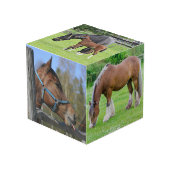 Horse Lover's aangepaste foto kubus (Voorkant hoekig)