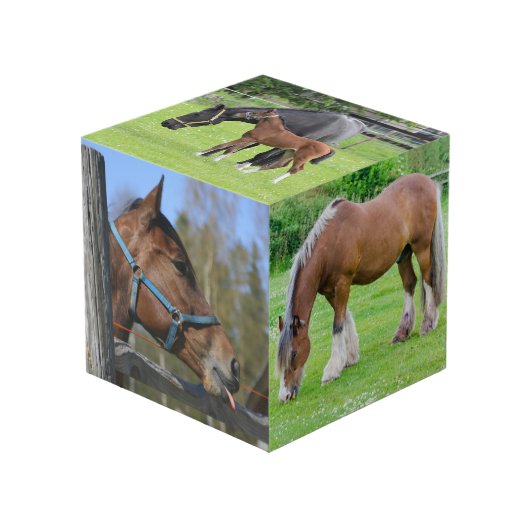 Horse Lover's aangepaste foto kubus (Voorkant hoekig)