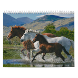 Horse Lover's agenda Kalender