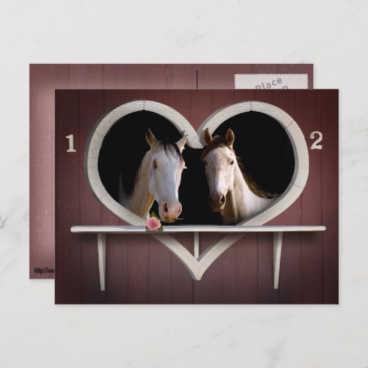 Horse Lovers Briefkaart (Voorkant / Achterkant)