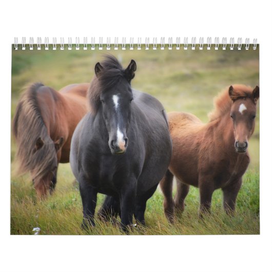 Horse Lovers Calendar Kalender (Hoes)