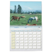 Horse Lovers Calendars Kalender (Jan 2026)