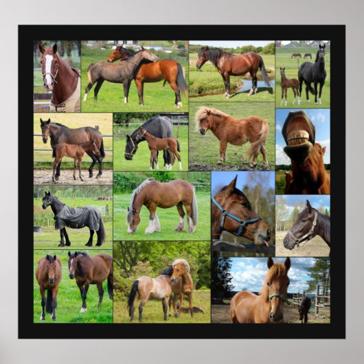 Horse Lover's Collage poster (Voorkant)