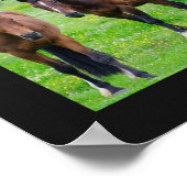 Horse Lover's Collage poster (Hoek)