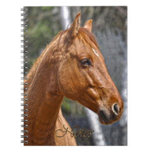 Horse-lover's Equine Animal Notitieboek
