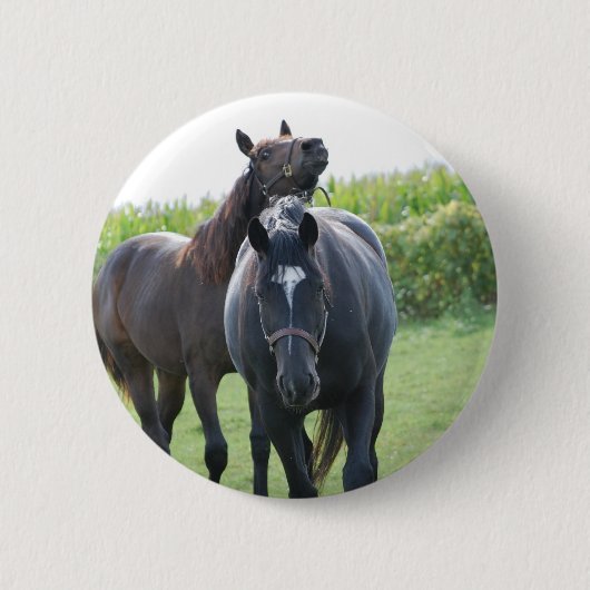 Horse Lovers Ronde Button 5,7 Cm (Voorkant)