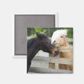 Horse Lovin' Magneet (Voorkant / Achterkant)