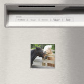 Horse Lovin' Magneet (Insitu (Vaatwasser))