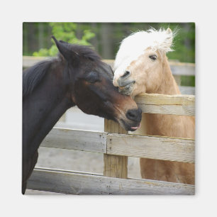 Horse Lovin' Magneet