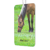 Horse luchtverfrisser (Links)