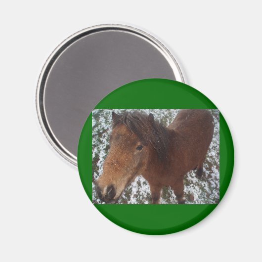 HORSE MAGNEET (Voorkant / Achterkant)