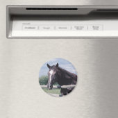 Horse Magnet (Insitu (Vaatwasser))