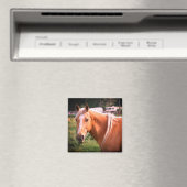 Horse Magnet (Insitu (Vaatwasser))