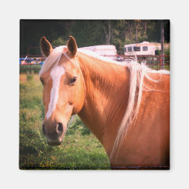 Horse Magnet