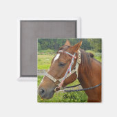Horse Magnet