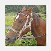 Horse Magnet (Voorkant)