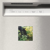 Horse Magnet (Insitu (Vaatwasser))