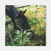 Horse Magnet (Voorkant)