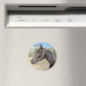 Horse magnet (Insitu (Vaatwasser))