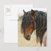 Horse Mane Briefkaart (Voorkant / Achterkant)