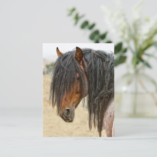 Horse Mane Briefkaart (Staand voorkant)