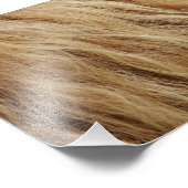 Horse Mane Foto Afdruk (Hoek)