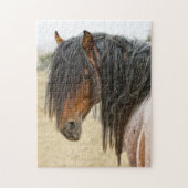 Horse Mane Legpuzzel (Verticaal)