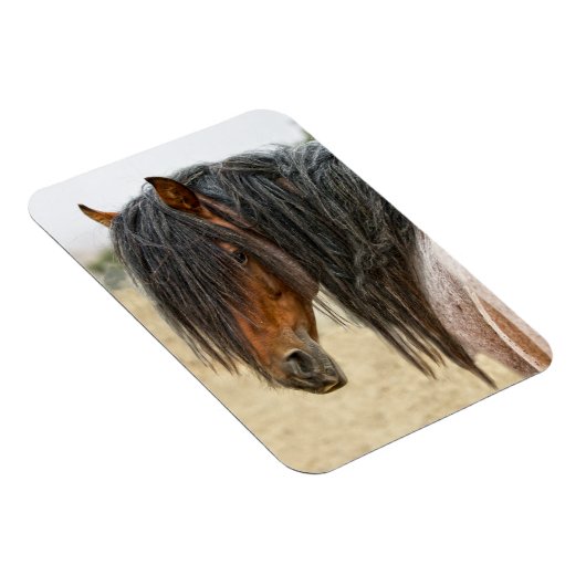 Horse Mane Magneet (Rechterzijde)