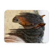 Horse Mane Magneet (Horizontaal)