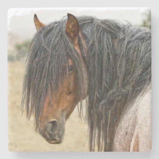 Horse Mane Stenen Onderzetter (Voorkant)