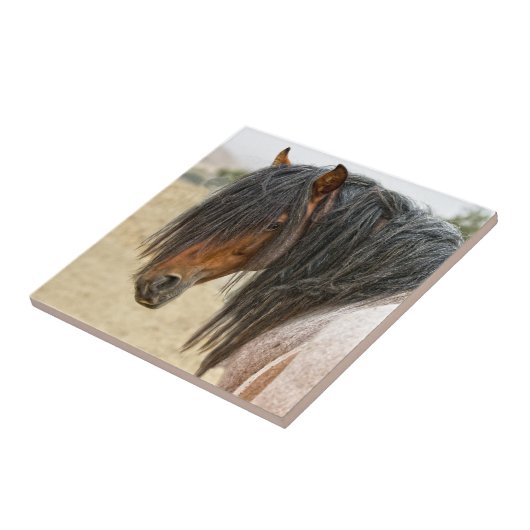 Horse Mane Tegeltje (Zijkant)