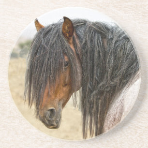 Horse Mane Zandsteen Onderzetter