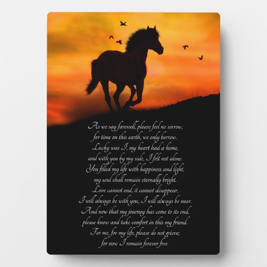 Horse Memorial met gedicht plaque Fotoplaat (voorkant)