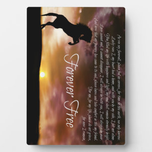 Horse Memorial met origineel Spiritueel gedicht Fotoplaat