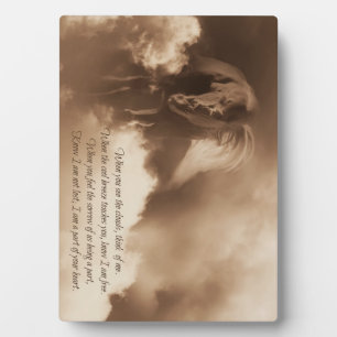 Horse Memorial met origineel Spiritueel gedicht Fotoplaat